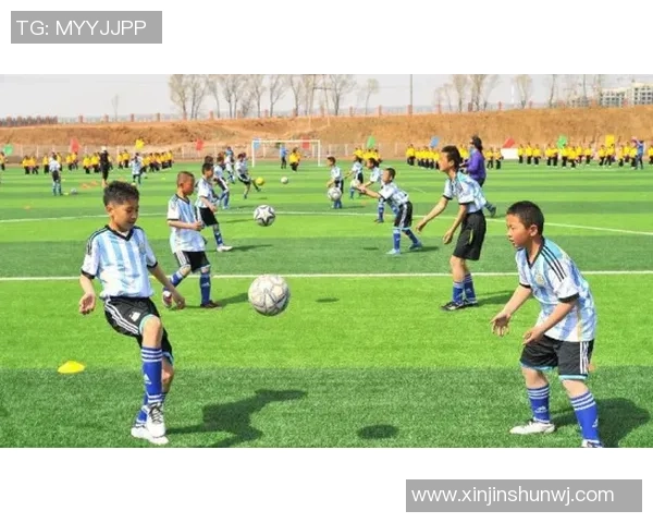 现象级足球明星盘点他们如何改变了足球历史与文化